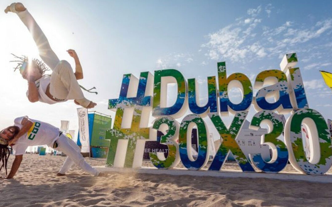Your Guide In Dubai Fitness Challenge 2022